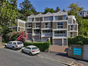 1 Bed Apartment in Higgovale