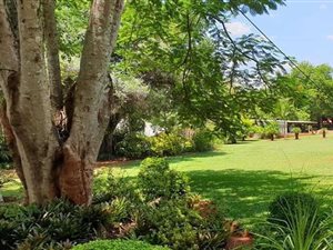 2.1 ha Farm in Tzaneen