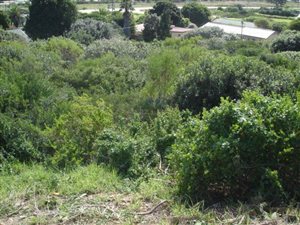 3334 m² Land available in Fraaiuitsig