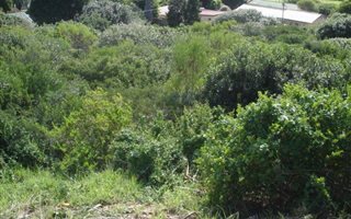 3334 m² Land available in Fraaiuitsig