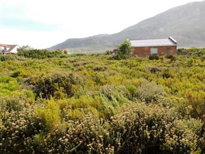 810 m² Land available in Bettys Bay