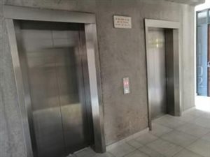 2 Bedroom Apartment in Brooklyn