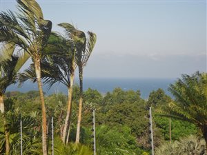 1146 m² Land available in Uvongo