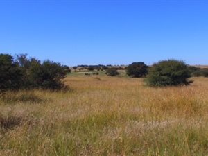 380 ha Farm in Kroonstad