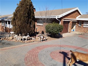 4 Bed House in Aliwal North