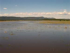 3085 ha Farm in Mokopane