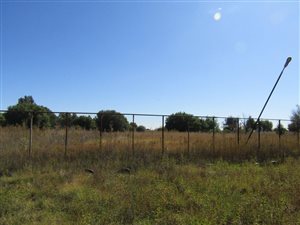 28 ha Farm in Bainsvlei