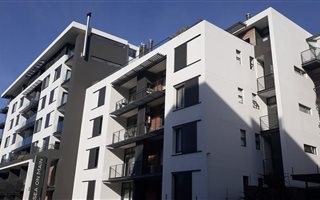 1 Bedroom Apartment in Green Point
