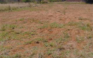 1011 m² Land available in Amajuba Park