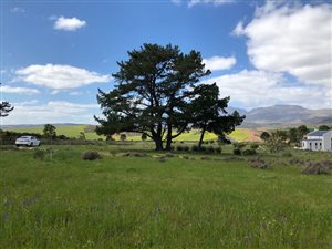 1000 m² Land available in Bot River