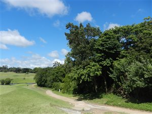 1148 m² Land available in Meerensee