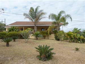 1 ha Farm in White River