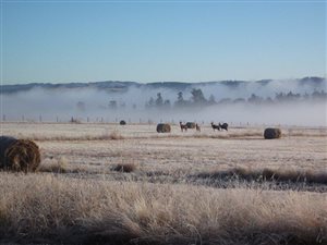 34 ha Farm in Howick