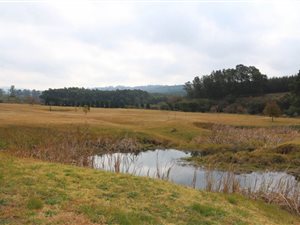 5.1 ha Smallholding in Greytown
