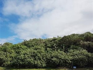 1013 m² Land available in Tinley Manor and surrounds