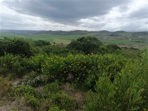 482 m² Land available in Reebok