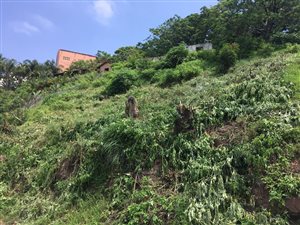 1256 m² Land available in Umhlatuzana