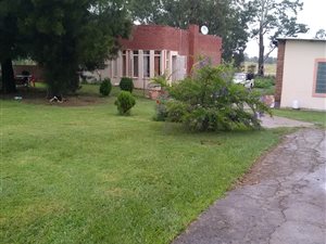 3 Bed House in Fairleigh