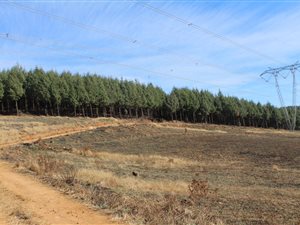891 ha Farm in Nottingham Road