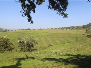 28 ha Farm in Trafalgar