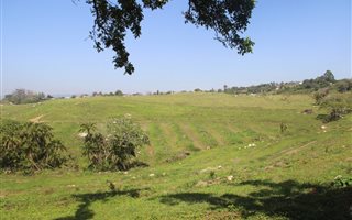 Farmland in Trafalgar