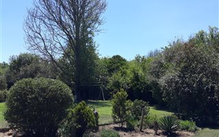 3 Bedroom House in Mooi River