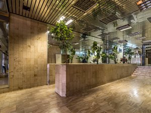 Bachelor apartment in Johannesburg Central