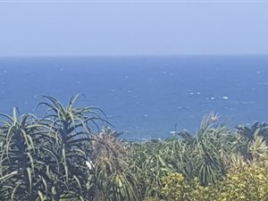 1494 m² Land available in Umzumbe
