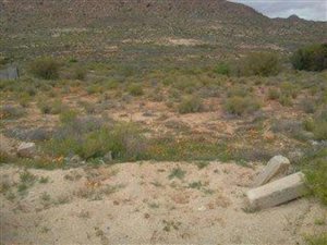 2250 m² Land available in Springbok