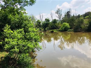 1.2 ha Land available in Muldersdrift