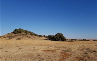 154 ha Farm in Bloemfontein Rural