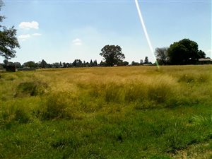 2 ha Farm in Vleikop AH