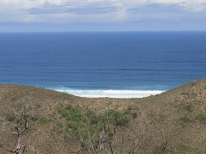 21.2 ha Farm in Brenton on Sea