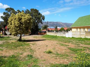 1950 m² Land available in Sir Lowrys and surrounds
