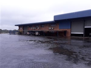 1800 m² Industrial space in Primrose