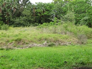 2625 m² Land available in Uvongo