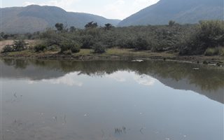 75 ha Farm in Alma