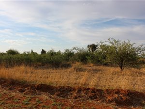 2231 m² Land available in Makwassie