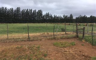 5.5 ha Farm in Addo