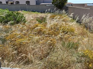 913 m² Land available in Myburgh Park