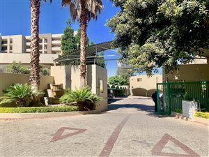 1 Bed Apartment in Morningside