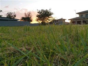 1032 m² Land available in Lombardy Estate