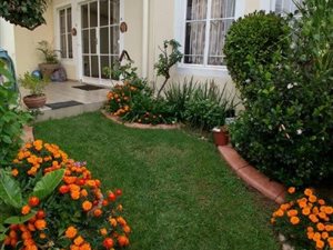 2 Bed Townhouse in Ferndale