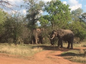 158.7 ha Land available in Wonderboom