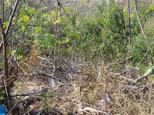 3117 m² Land available in Reservoir Hills