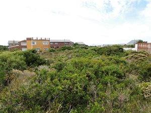 985 m² Land available in Bettys Bay