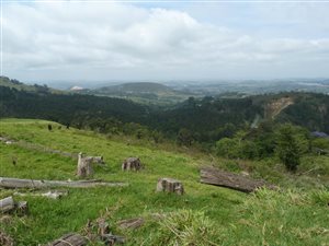 1857 m² Land available in Bothas Hill