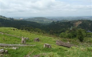 1857 m² Land available in Bothas Hill