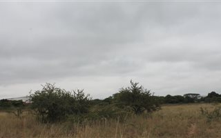 4680 m² Land available in Bendor