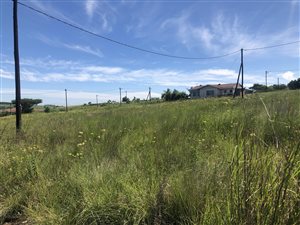 300 m² Land available in Greytown